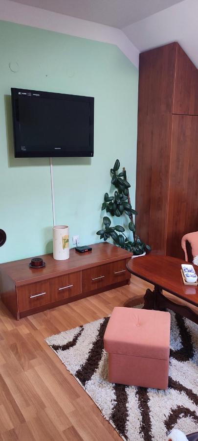 Apartman Sara Pale - Ski Centar Ravna Planina Exterior photo