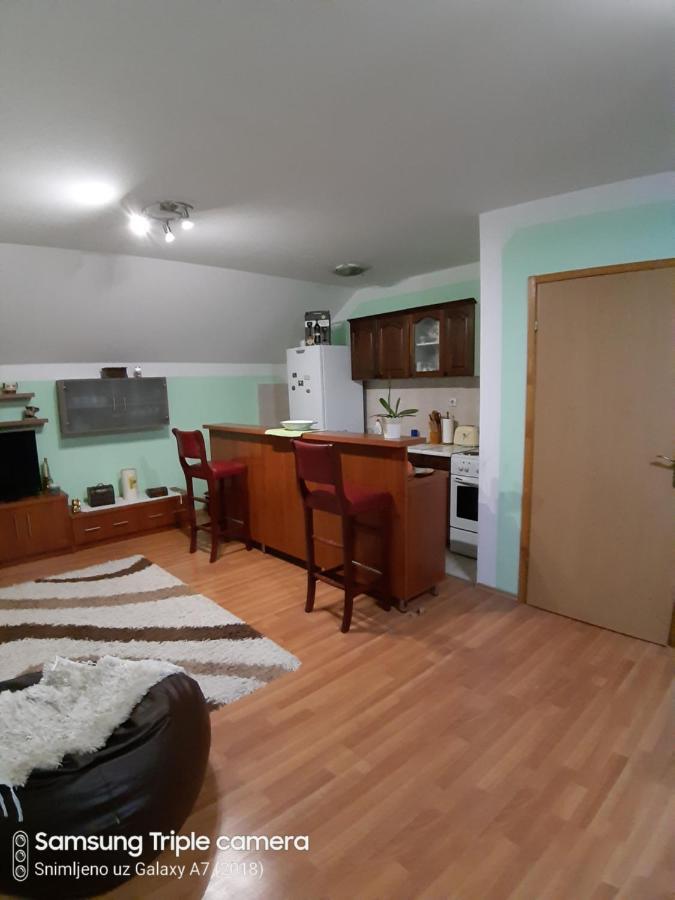 Apartman Sara Pale - Ski Centar Ravna Planina Exterior photo